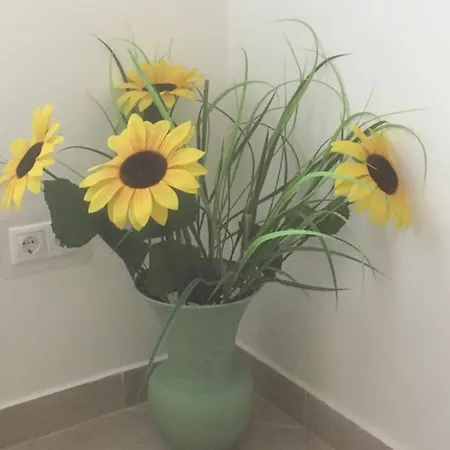 Vito Apartman Eger Buitenkant foto